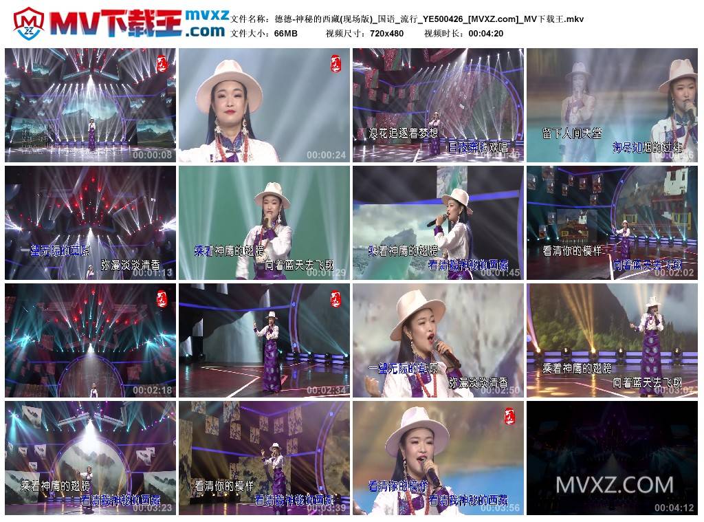 德德-神秘的西藏(现场版)_国语_流行_YE500426